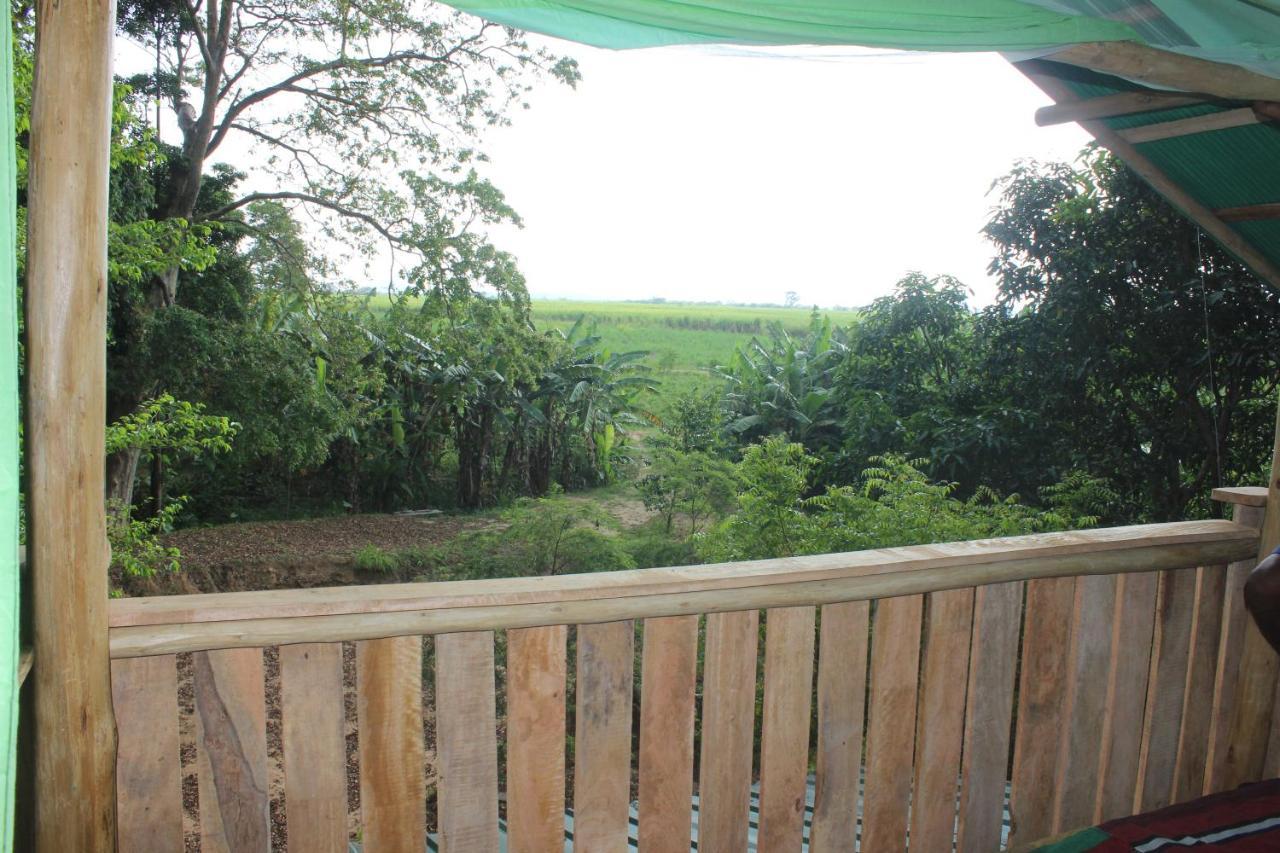 Forest Tree Top Holiday Resort Buttala 외부 사진