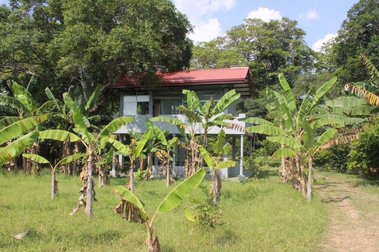 Forest Tree Top Holiday Resort Buttala 외부 사진