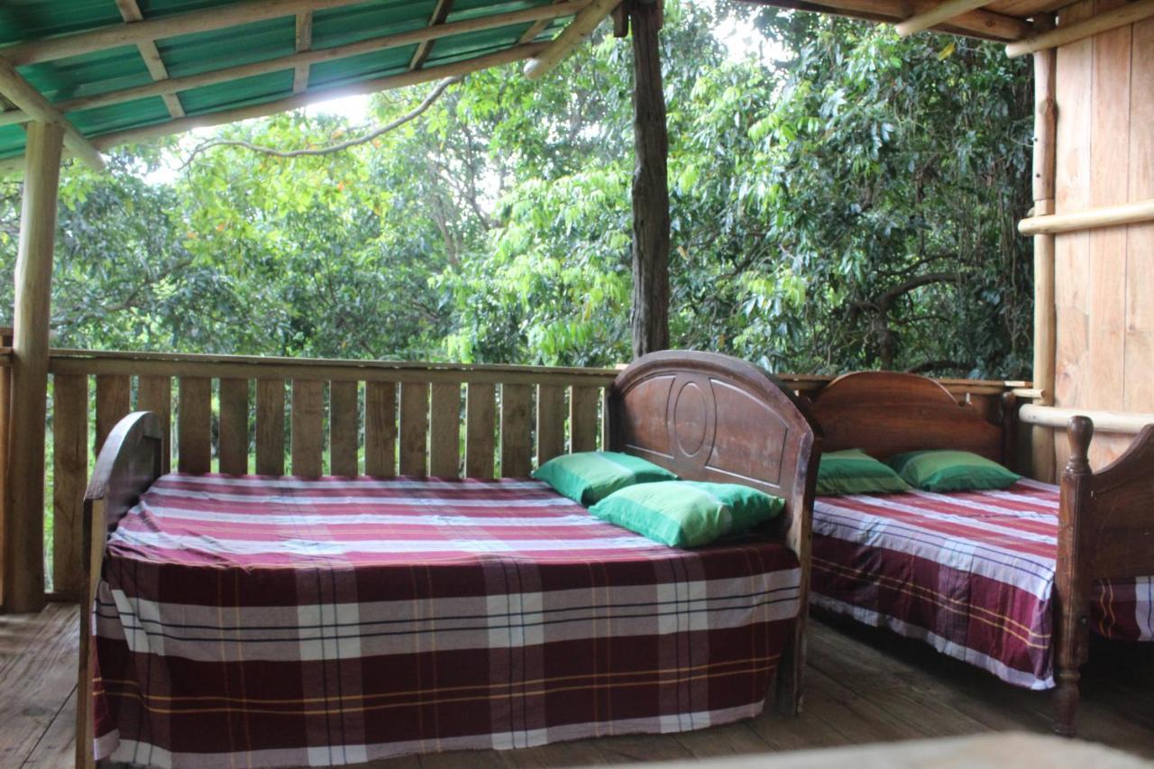 Forest Tree Top Holiday Resort Buttala 외부 사진
