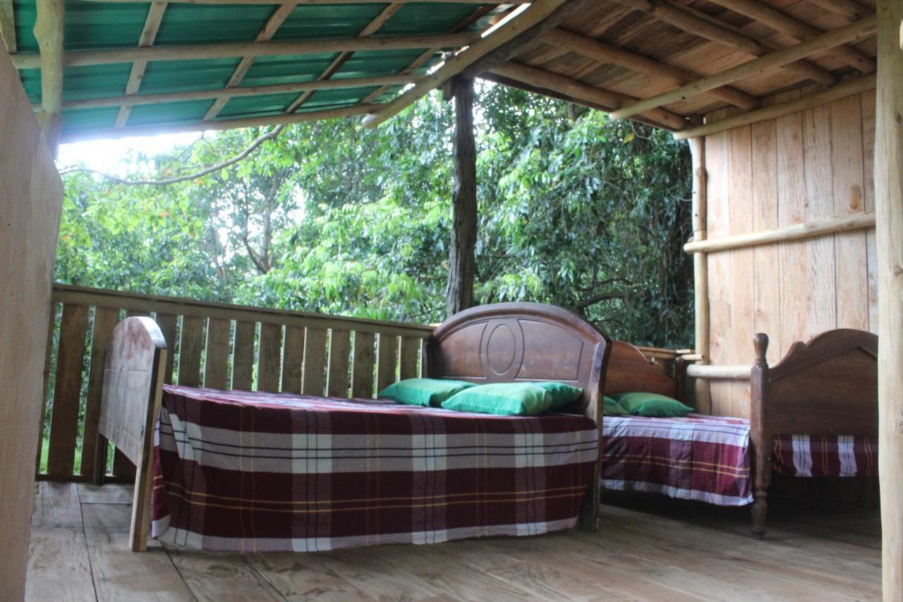 Forest Tree Top Holiday Resort Buttala 외부 사진