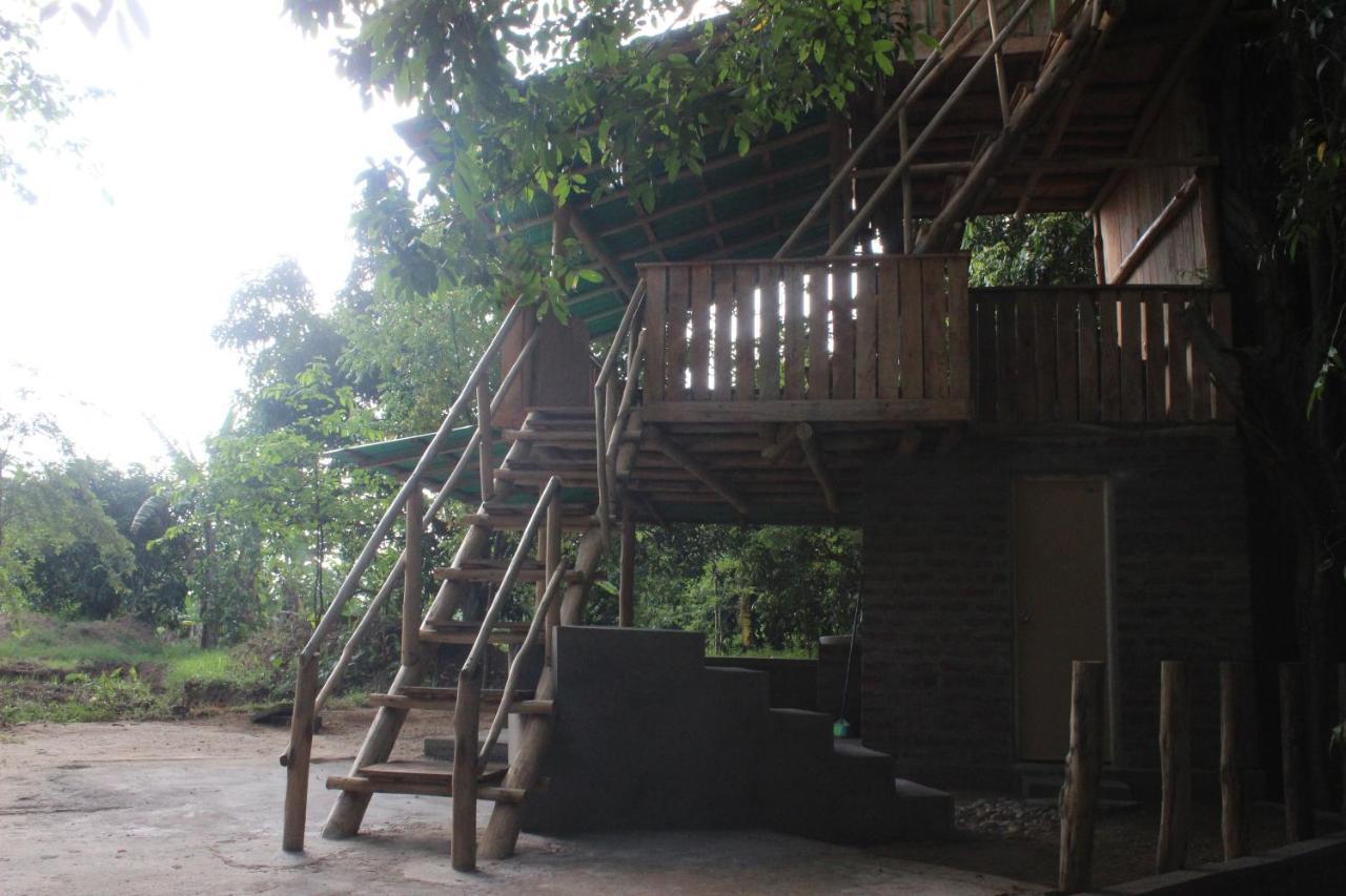 Forest Tree Top Holiday Resort Buttala 외부 사진